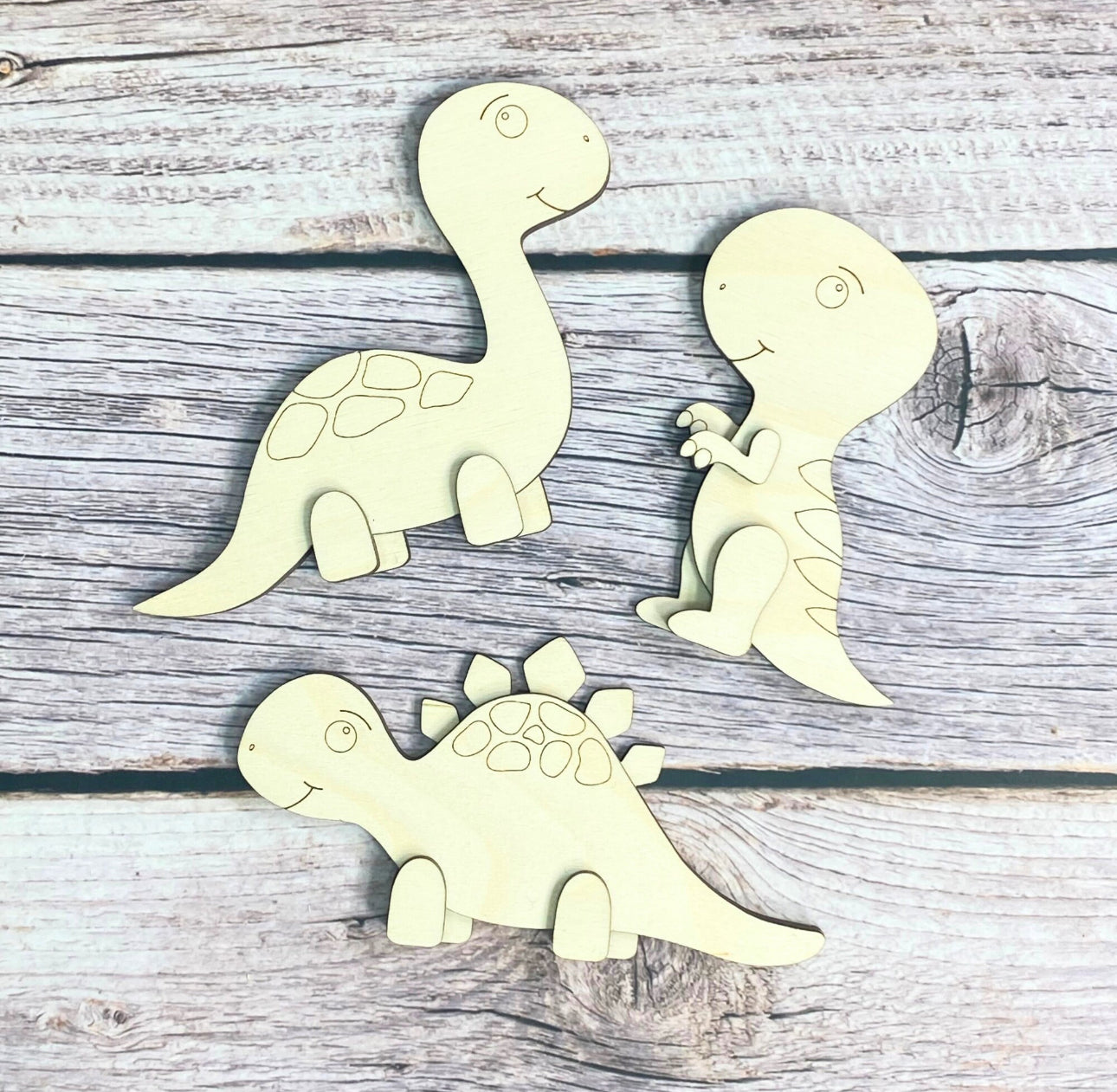 Ryleigh’s Collection- dinosaurs set of 3