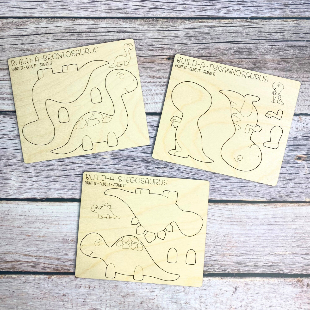 Ryleigh’s Collection- dinosaurs set of 3